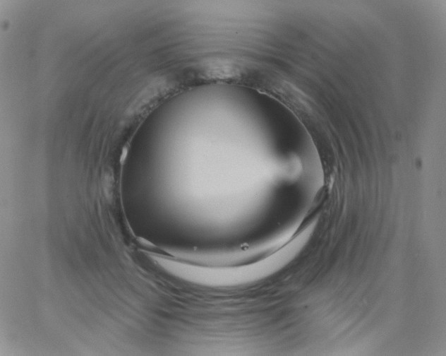 X0000065990556200603172143