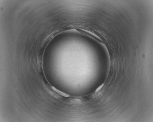 X0000065990572200603172143