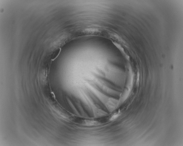 X0000065990605200603172142