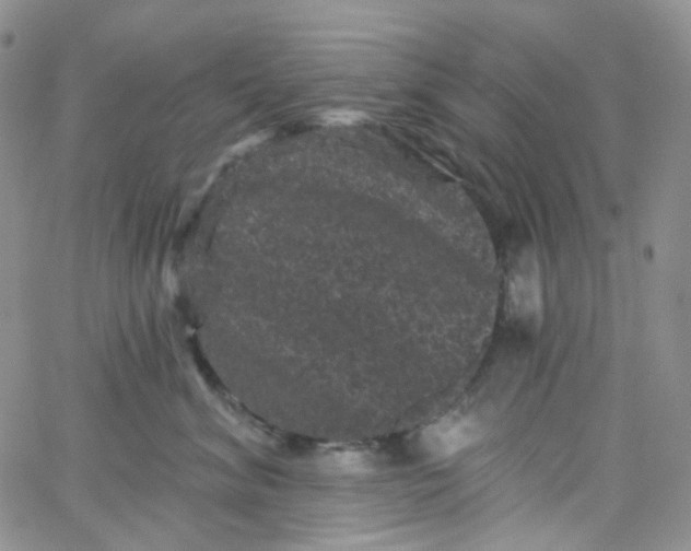 X0000065990620200603172142