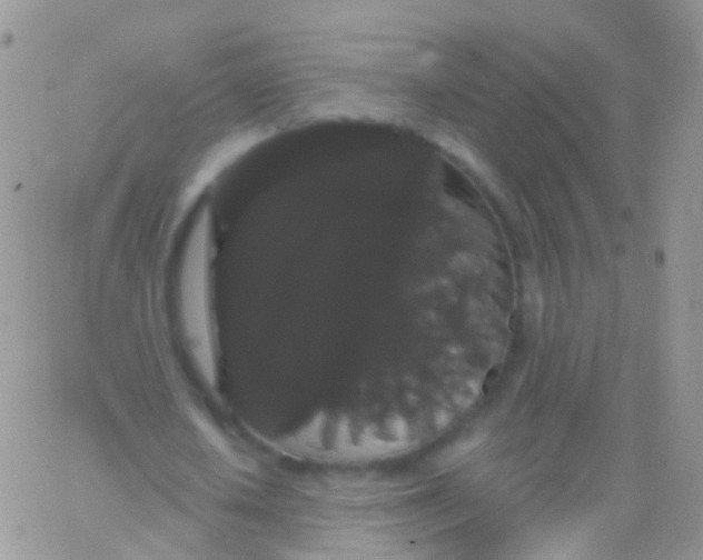 X0000065990626200603172141