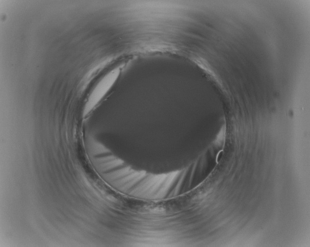 X0000065990640200603172141