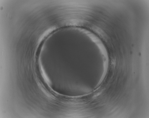X0000065990678200603172141