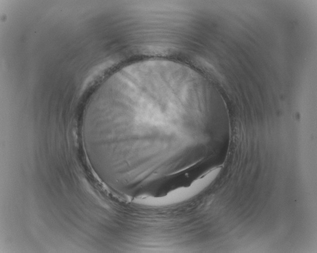 X0000065990688200603172141