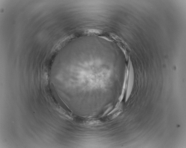 X0000065990716200603172140