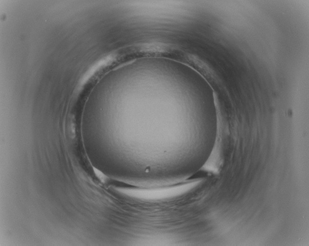 X0000065990731200603172139