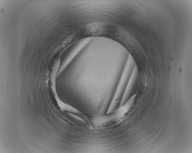 X0000065990752200603172140