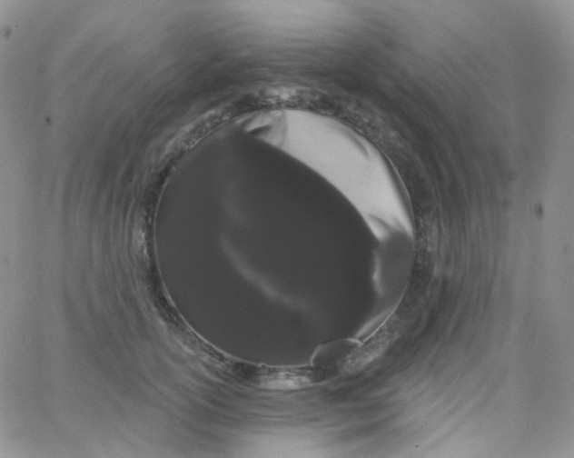 X0000065990754200603172140