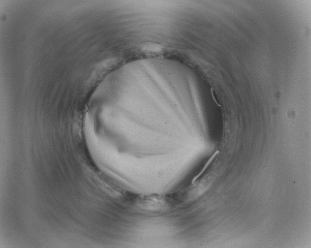 X0000065990768200603172140