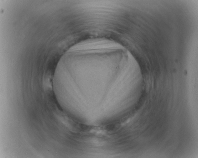 X0000065990770200603172139
