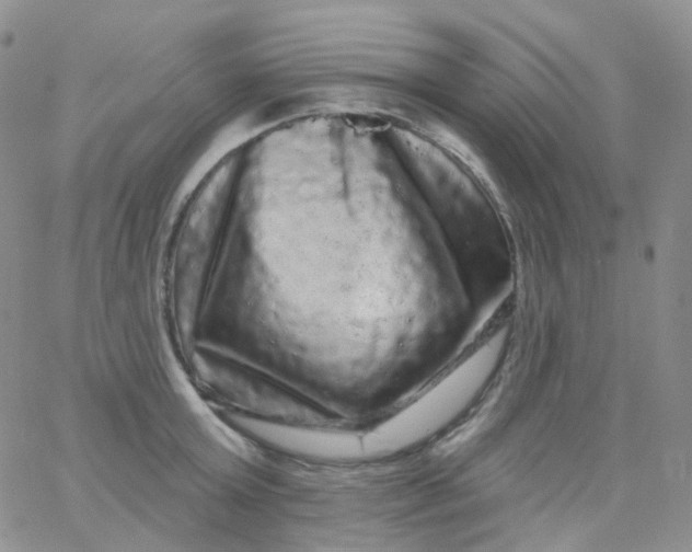 X0000065990803200603172139