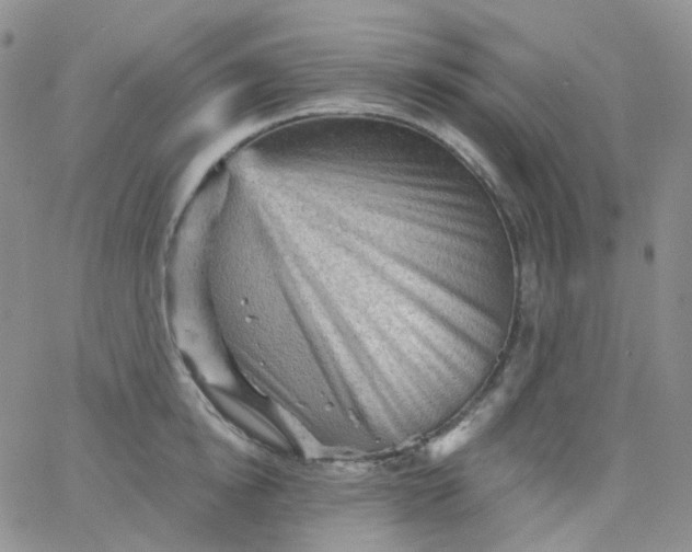 X0000065990854200603172138