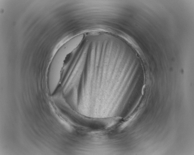 X0000065990858200603172138