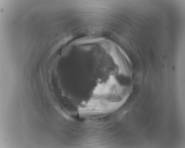 X0000065990913200603172136