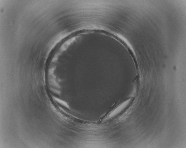 X0000065990935200603172137