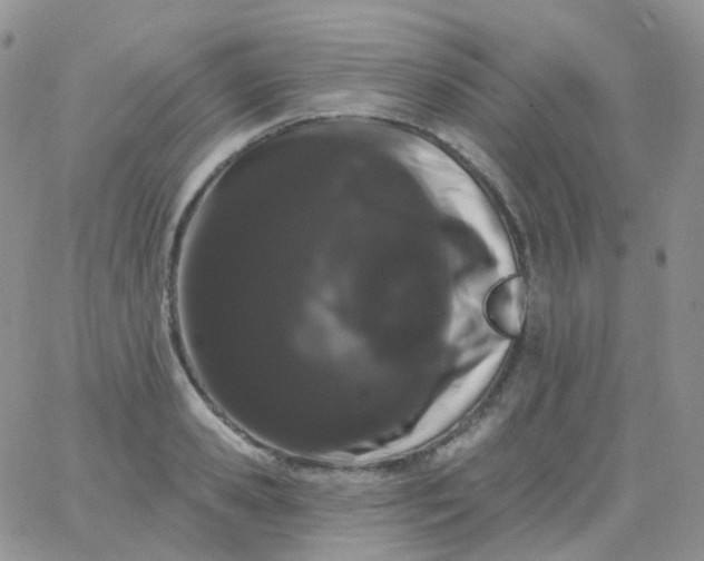 X0000065990941200603172137