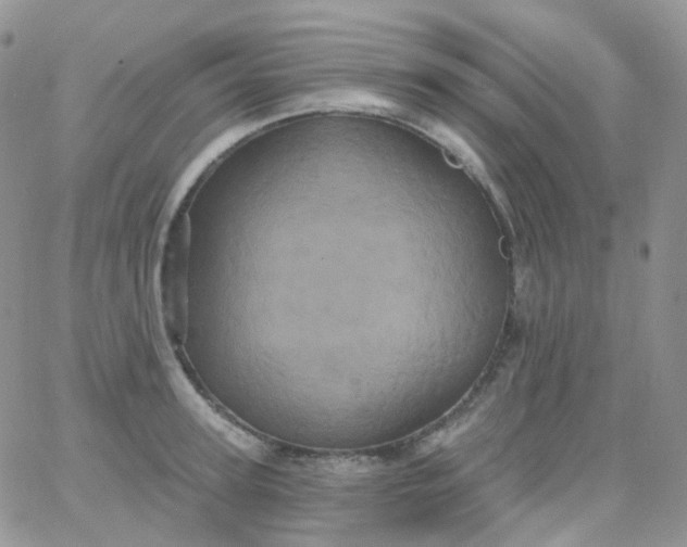 X0000065990947200603172137