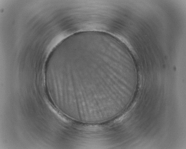 X0000065990982200603172136