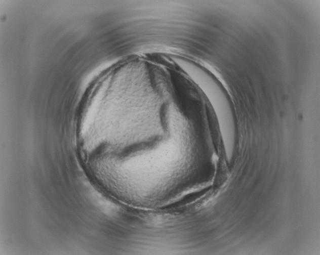 X0000065990987200603172136
