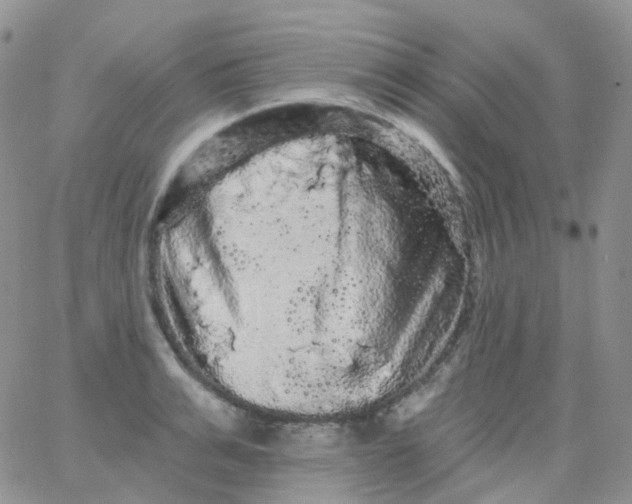 X0000065990991200603172136
