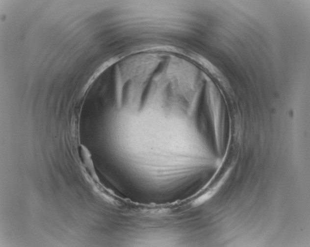 X0000065991001200603172135