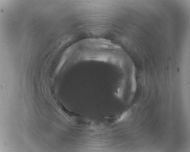 X0000065991009200603172135