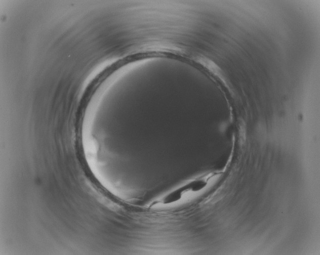 X0000065991024200603172135
