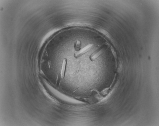 X0000065991030200603172135