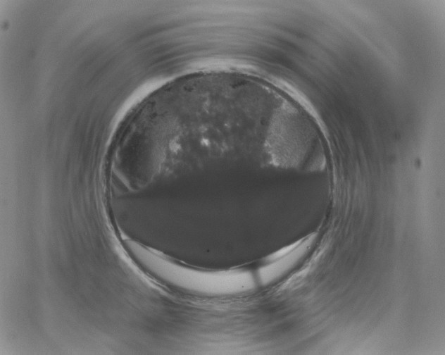 X0000065991045200603172135
