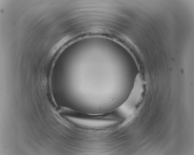 X0000065991065200603172134