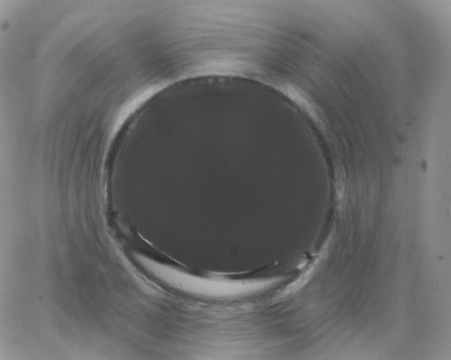 X0000065991077200603172134