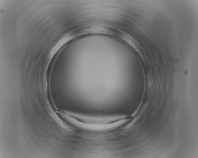 X0000065991082200603172134