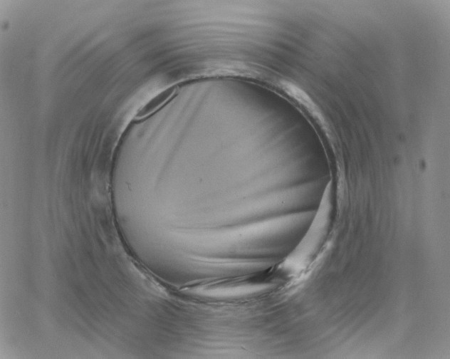 X0000065991089200603172134
