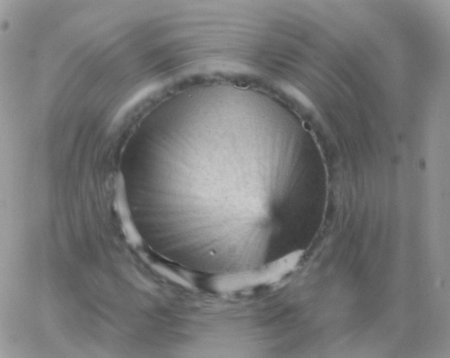 X0000065991112200603172133