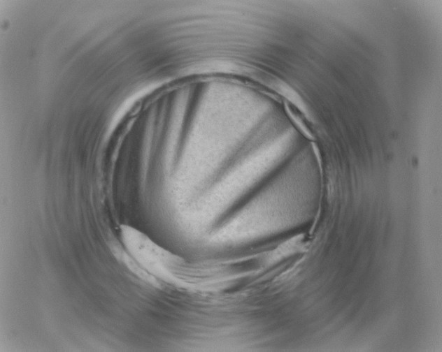 X0000065991116200603172133