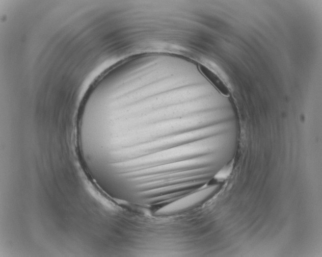 X0000065991136200603172134