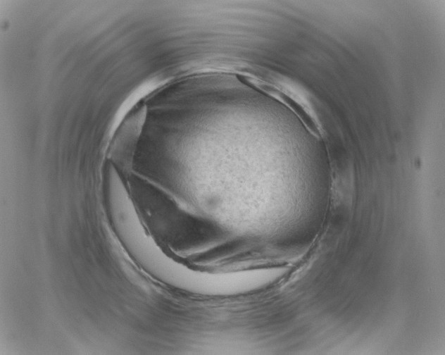 X0000065991146200603172134