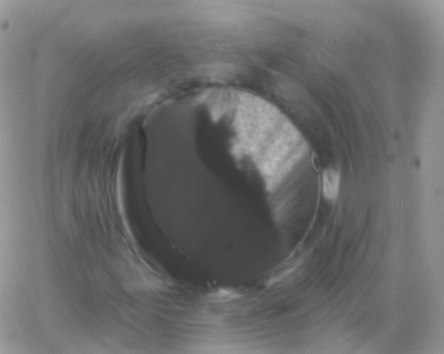 X0000065991155200603172133