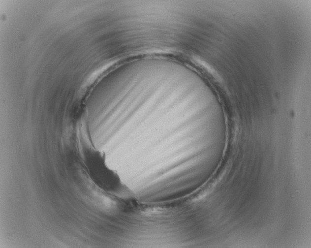 X0000065991169200603172133