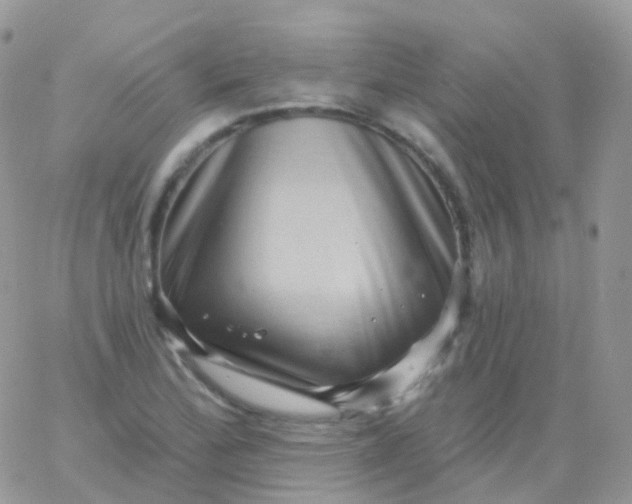 X0000065991172200603172133