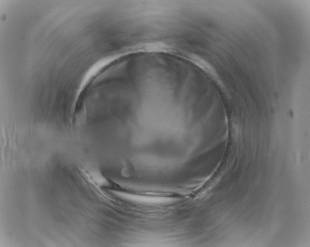 X0000065991176200603172133