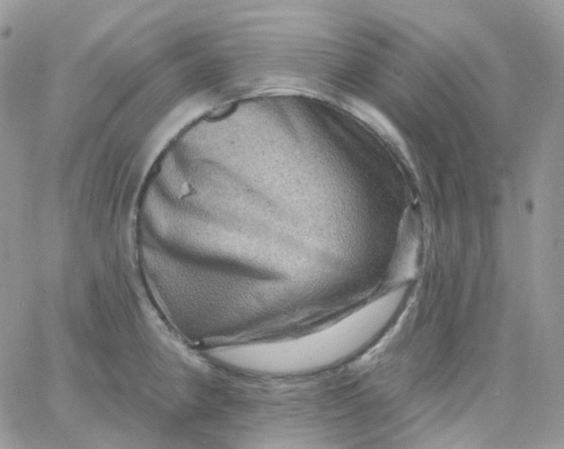 X0000065991190200603172132