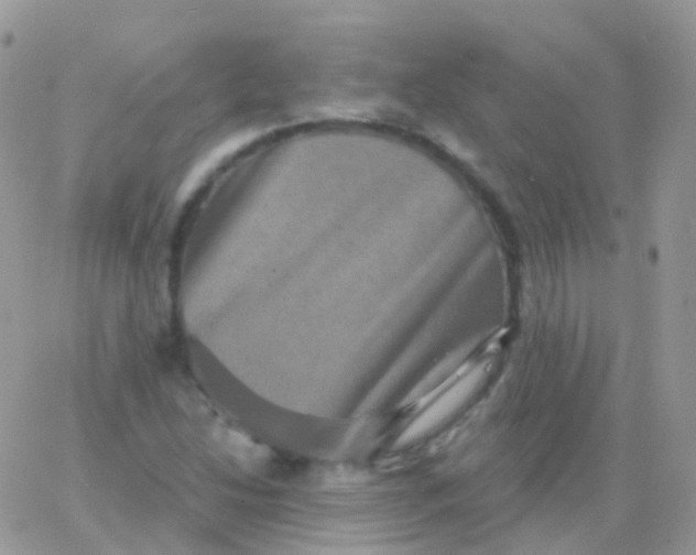 X0000065991214200603172132
