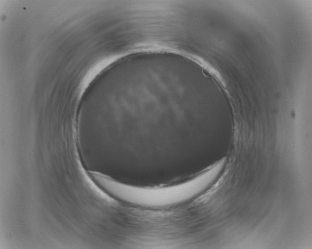 X0000065991239200603172132