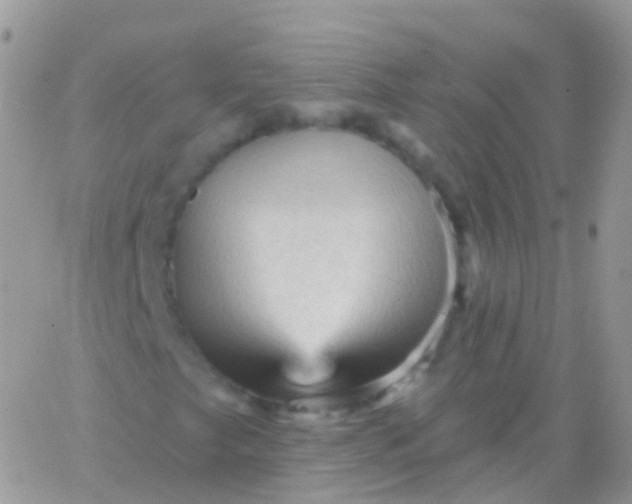 X0000065991249200603172131