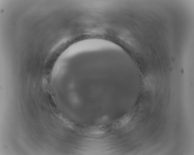 X0000065991254200603172131