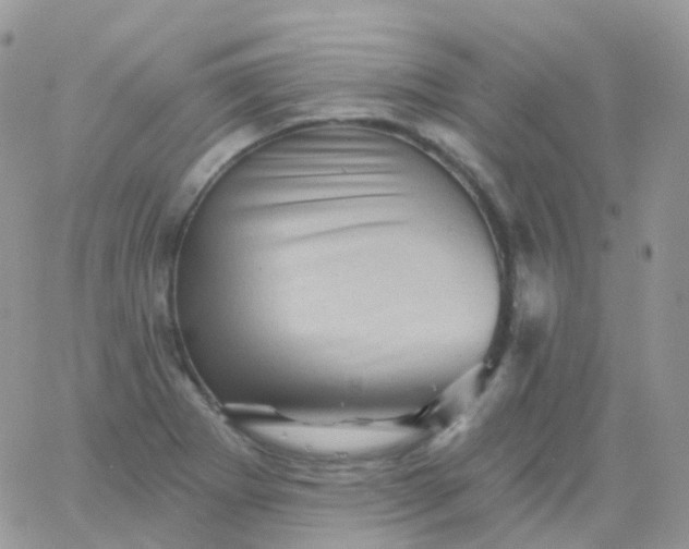 X0000065991273200603172131