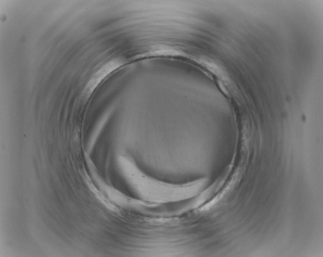 X0000065991281200603172131