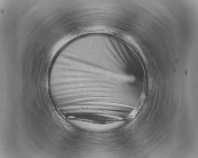 X0000065991328200603172130