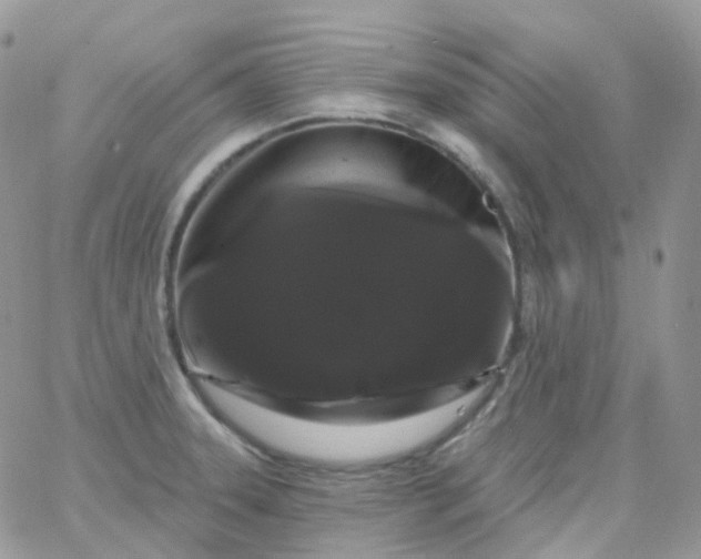 X0000065991331200603172130